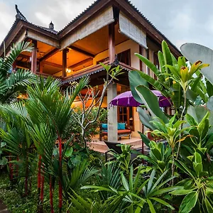 Mangku In Ricefield , Ubud Indonesia
